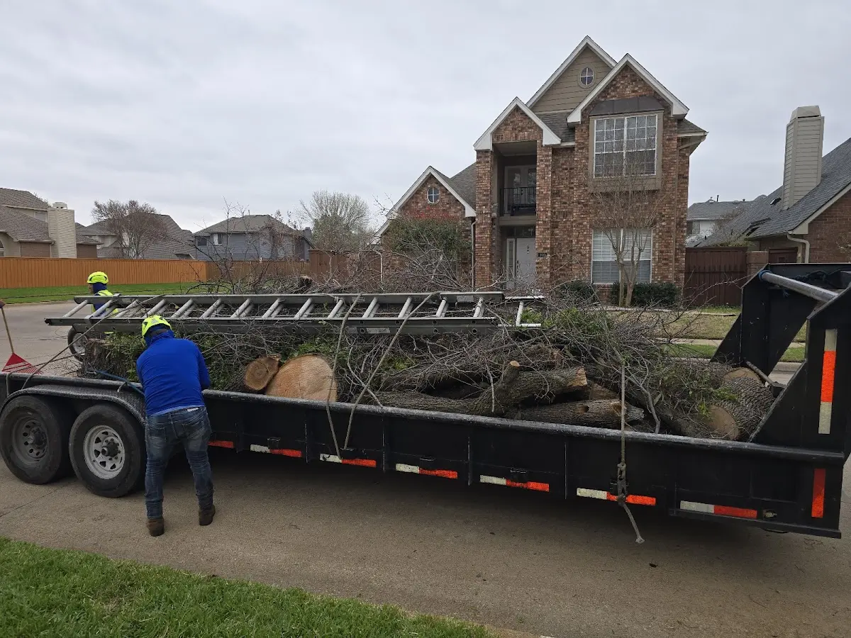 Expert Tree Removal with proper safety equipment in Atkins
